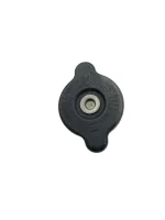 Tampa radiador ZX 10R 2008 - 2010
