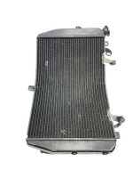 Radiador YZF R1 2007 - 2008 (C/ detalhe) - Imagem 9