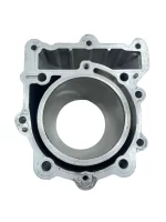 Cilindro BMW G 650 GS 2005 - 2010