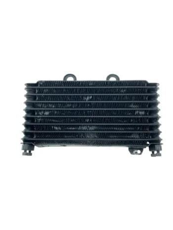 Radiador Bandit 650 2005 - 2008