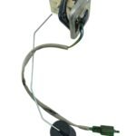 Boia combustível Royal Enfield Int 650 2020 / 2021