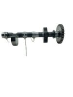 Balanceiro Royal Enfield Int 650 2020 / 2021