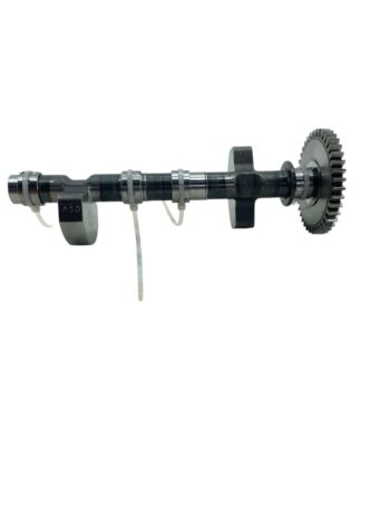 Balanceiro Royal Enfield Int 650 2020 / 2021