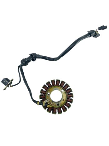 Estator Royal Enfield Int 650 2020 / 2021