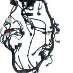 Chicote principal Royal Enfield Int 650 2020 / 2021