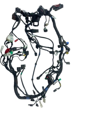 Chicote principal Royal Enfield Int 650 2020 / 2021