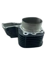 Cilindro motor esquerdo BMW R 1200RT 2009 - Imagem 9