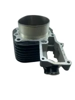 Cilindro direito BMW R 1200RT 2009