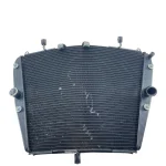 Radiador CBR 1000 2008 - 2011 (C/Detalhe)