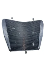 Radiador CBR 1000 2008 - 2011 (C/Detalhe) - Imagem 5
