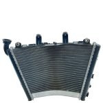 Radiador BMW S1000 RR 2020 - 2023 (C/Avaria)