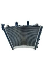 Radiador BMW S1000 RR 2020 - 2023 (C/Avaria)