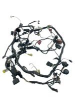 Chicote principal ZX6 2002