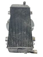Radiador FZR 600 1994