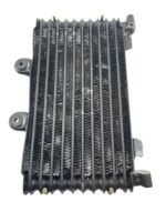 Radiador Bandit 1200 1996 - 2006 (C/Detalhe) - Imagem 6