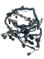 Chicote principal ZX6 2005 - 2006