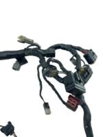 Chicote principal ZX6 2005 - 2006 - Imagem 5