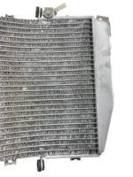 Radiador ZX 10R 2005 - 2007 - Imagem 10