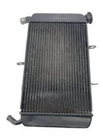 Radiador XJ6 2010 - 2012 - Imagem 9
