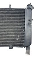 Radiador XJ6 2010 - 2012 - Imagem 8