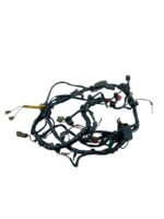 Chicote principal CBR 600F 1995 - 1998 (C/Avaria)