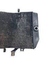 Radiador GSXR SRAD 1000 2001 - 2002 - Imagem 3