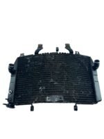 Radiador GSXR SRAD 1000 2001 - 2002 - Imagem 2