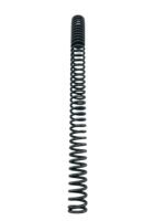 Mola bengala Z500 2024 - 2026